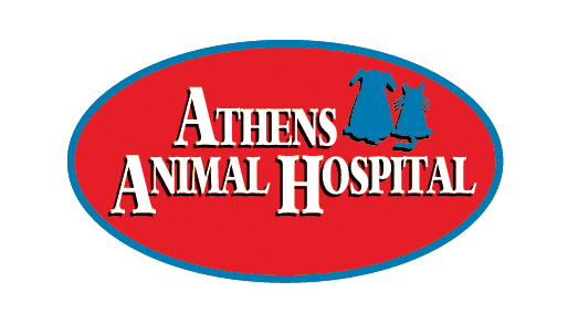 Athfest Sponsor Logo AHH