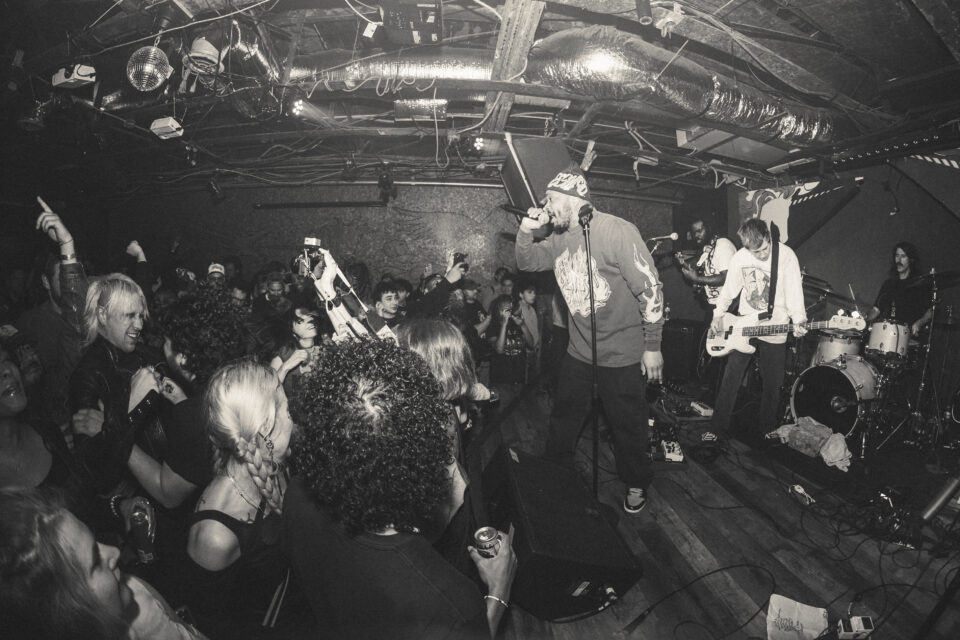 Scattrbrain Photo